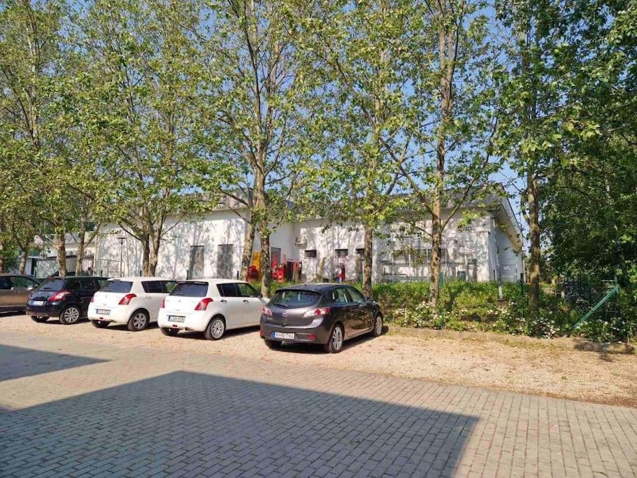 Swan Apartman - Keszthely Bagian luar foto